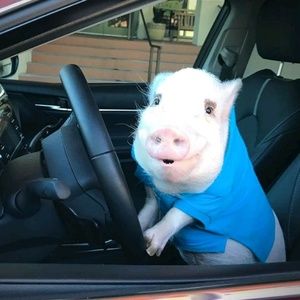 Meet your Posher, Tyler